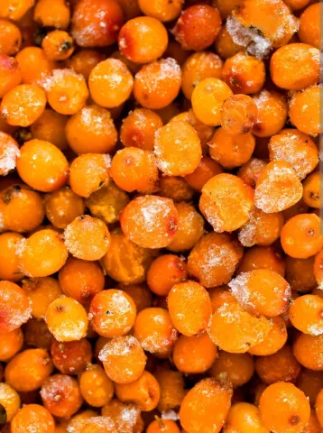 Catina 300 g. congelata rapid